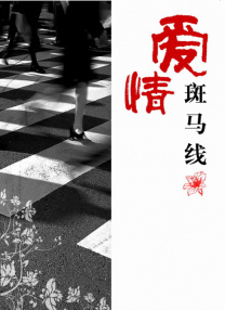 少妇激情av一区二区